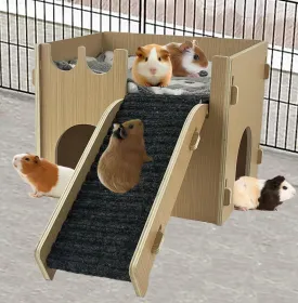 ,, 2  Chinchillas 