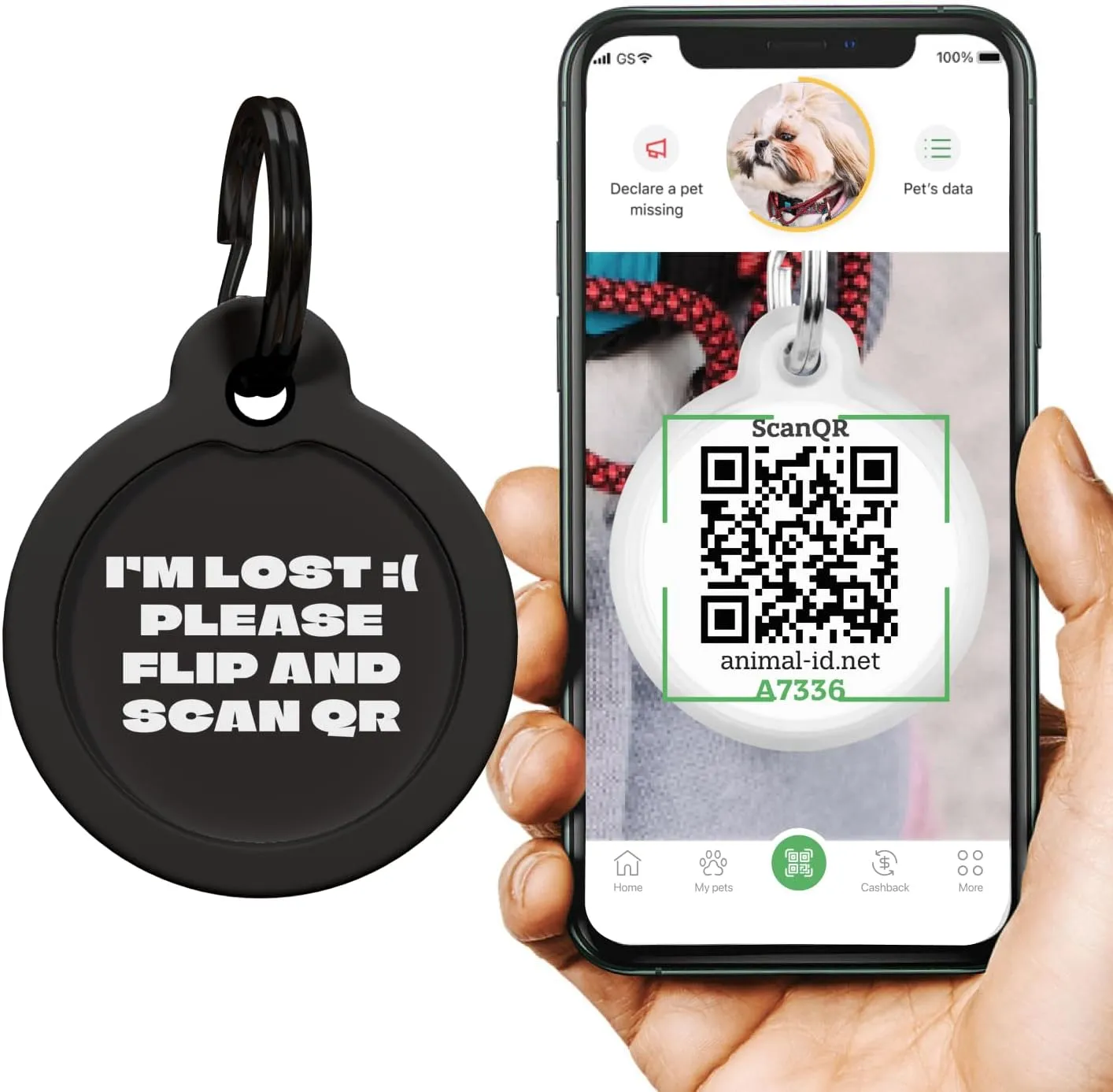 ,- - QR  -  (I'm Lost :()