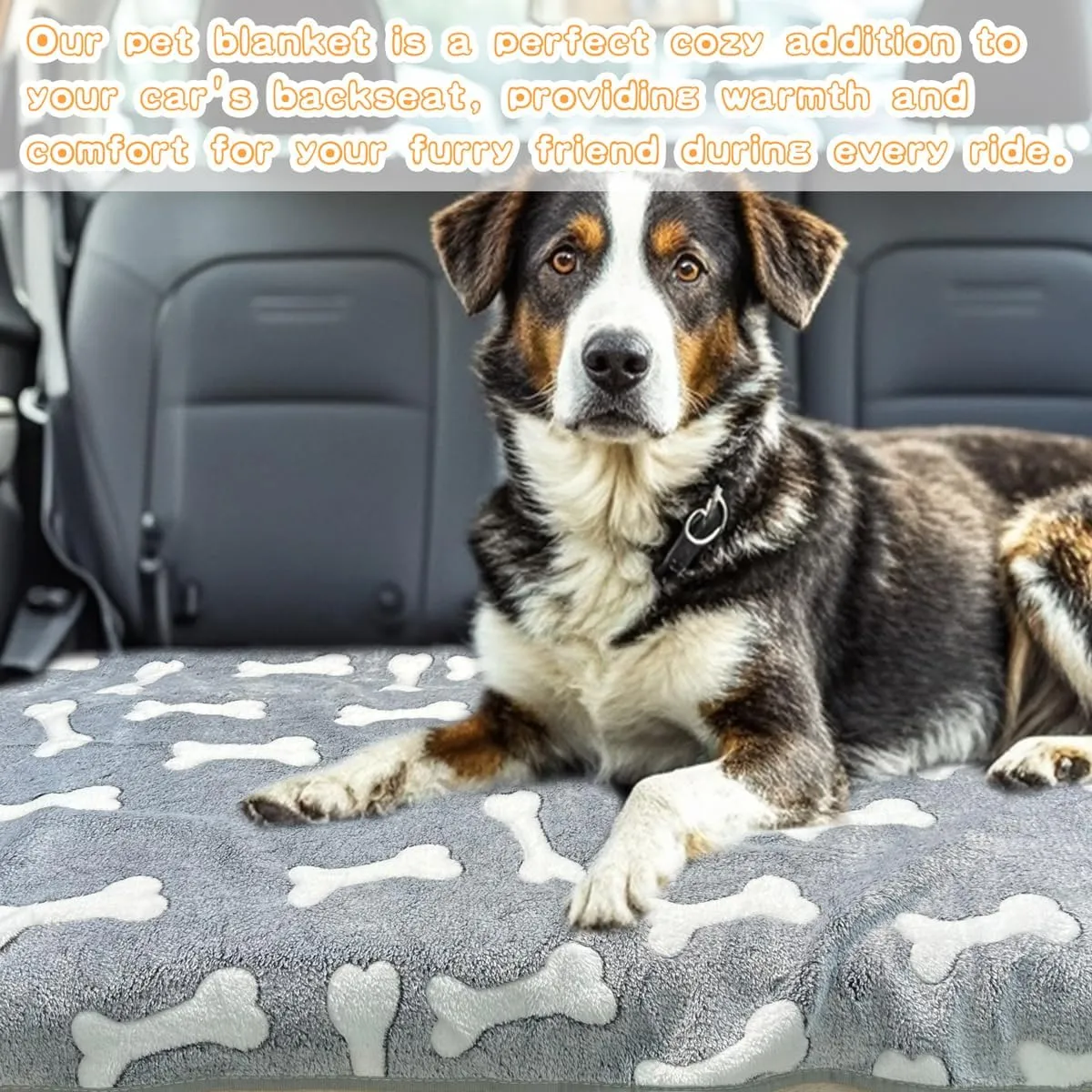 3 Pack Dog Blankets for Small Dogs, 23''x16'' Washable Dog Blanket, Soft Pet Blankets for CatRabbitGuinea Pig Small Animal Fleece Bedding Cute Claw Pattern Rabbit Bedding