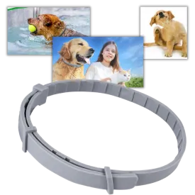 Anti-Flea Collar for Pets