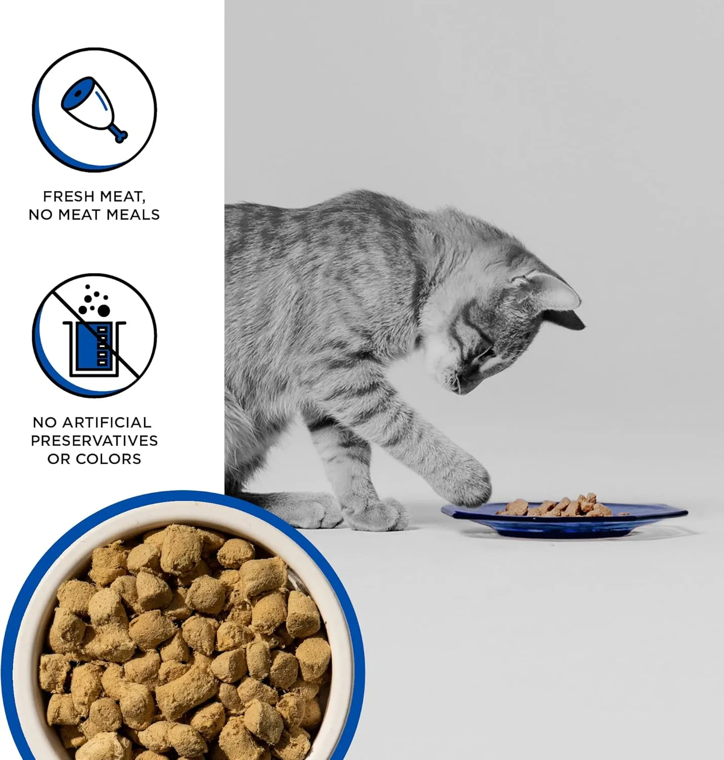 BIXBI Rawbble Freeze Dried Cat Food, Turkey Recipe, 10 oz - 94% Meat and Organs, No Fillers - Pantry-Friendly Raw Cat Food for Meal, Treat or Food Topper - USA Made in Small Batches