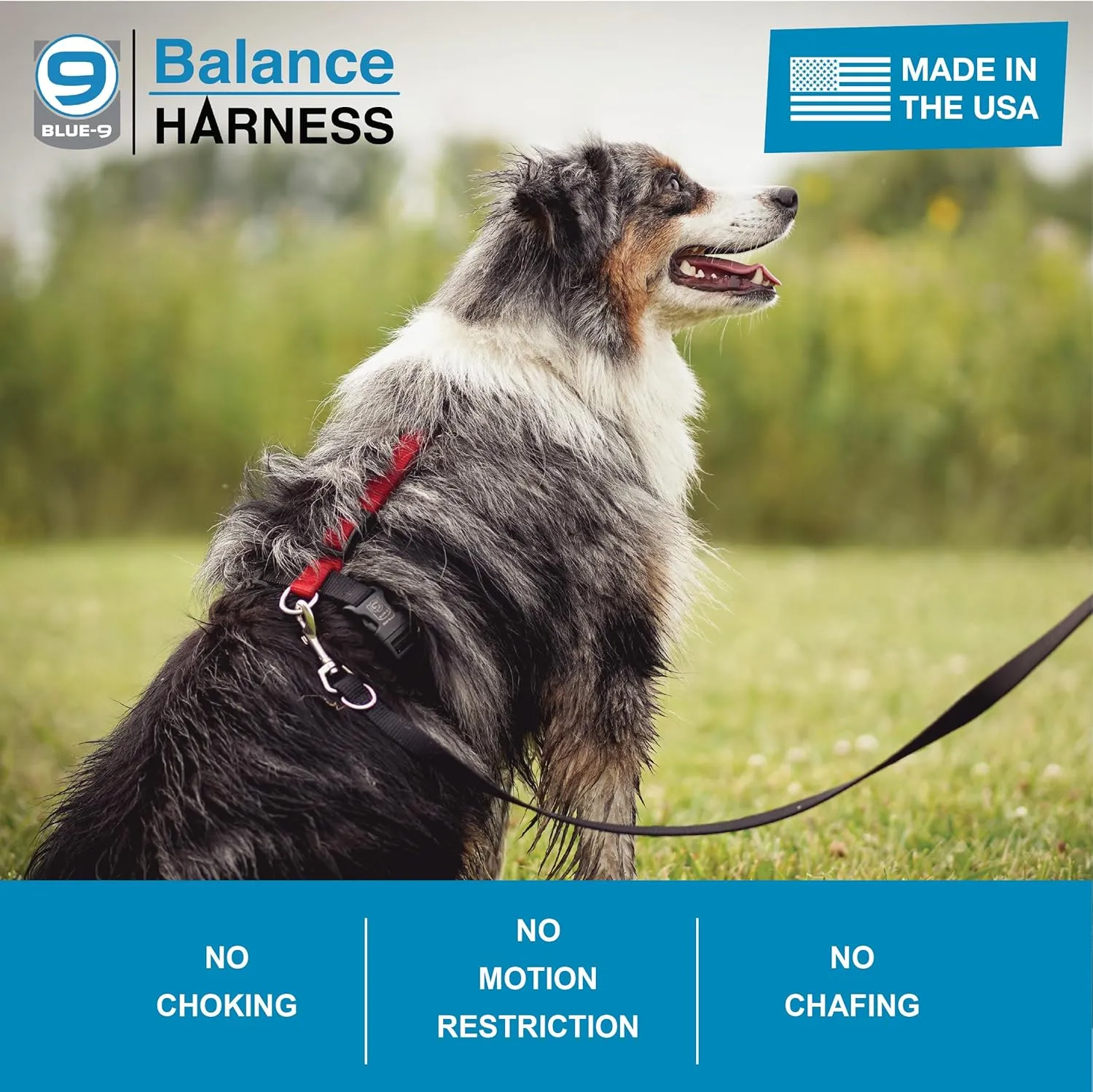 Blue-9 Buckle-Neck Balance Harness, Fully Customizable Fit No-Pull Harness, Ideal for Dog Training and Obedience, Made in The USA, Orange, Small