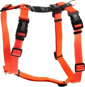 Blue-9 Buckle-Neck Balance Harness, Fully Customizable Fit No-Pull Harness, Ideal for Dog Training and Obedience, Made in The USA, Orange, Small