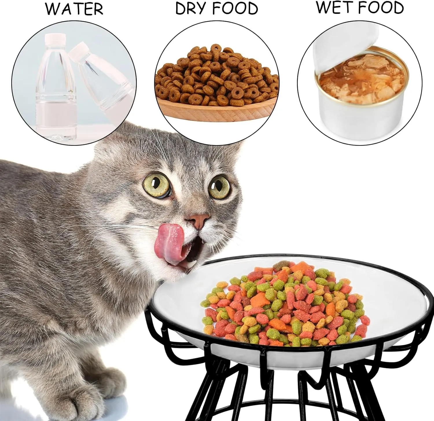 BNOSDM 4 Pcs Raised Cat Dishes Ceramic Shallow Cat Bowls with Iron Stand, Elevated Flat Whisker Fatigue Pet Wet Food Bowls for Kitten Puppy, Small Cats and Dogs (Black)