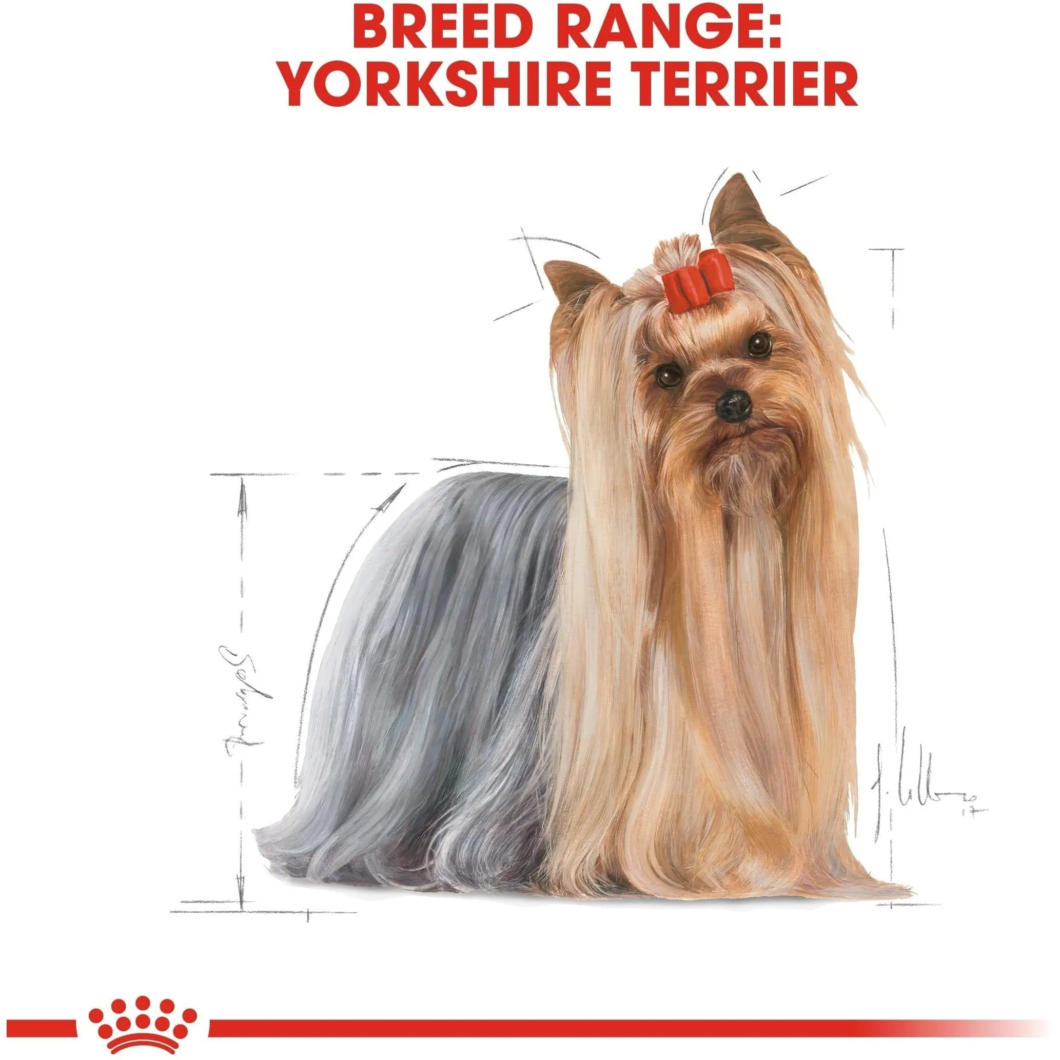 Breed Health Nutrition Yorkshire Adult (Wet Food - Pouches 85Gx12