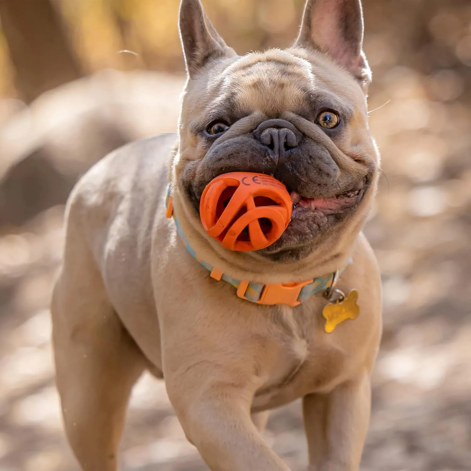 Chuckit! Air Fetch Ball Dog Toy, Medium (2.5 Inch Diameter), for dogs 20-60 lbs