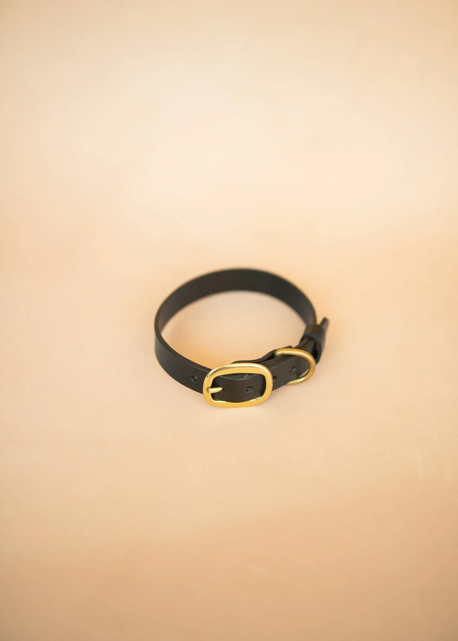 Classic Dog Collar - 25mm - Black