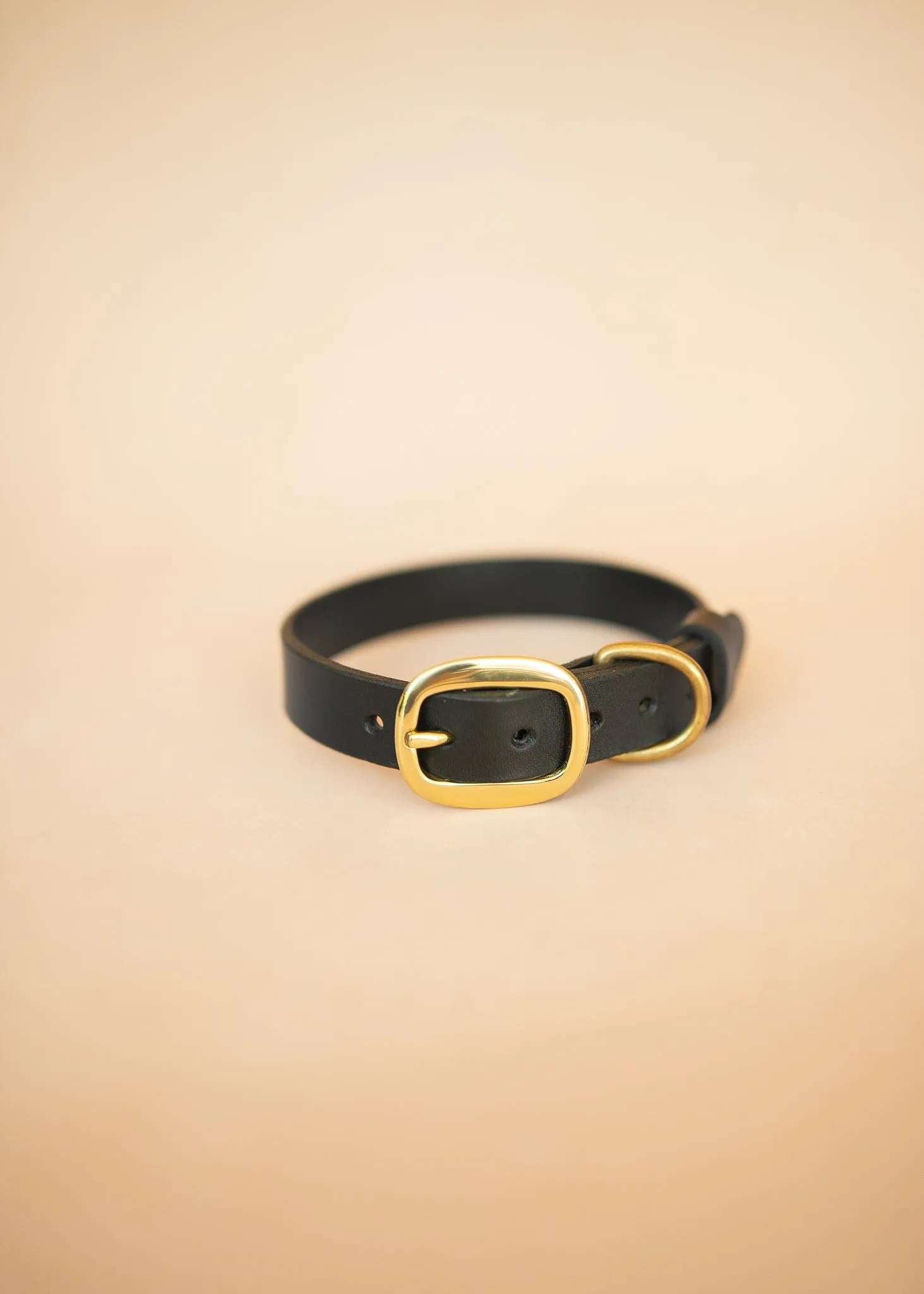 Classic Dog Collar - 25mm - Black