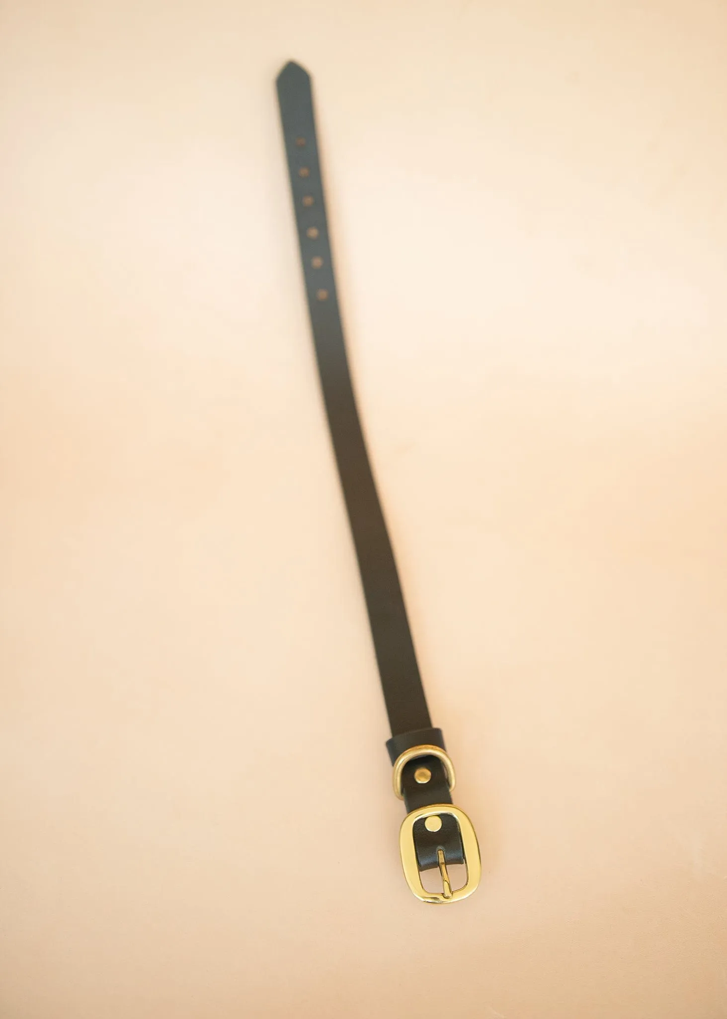 Classic Dog Collar - 25mm - Black