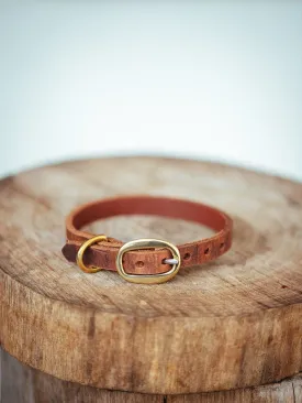 Dog Collar - 12mm - Croc Print - Vintage Brown
