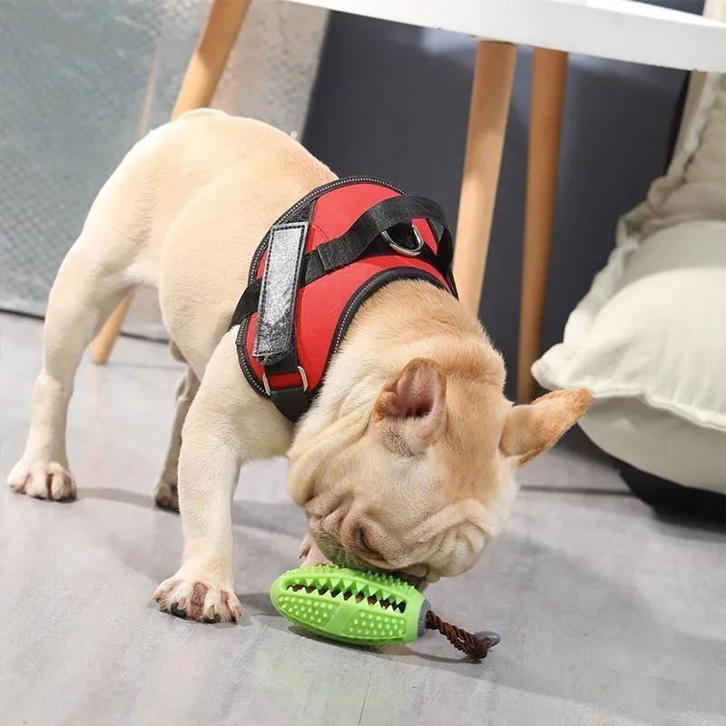Dog Toothbrush Toy