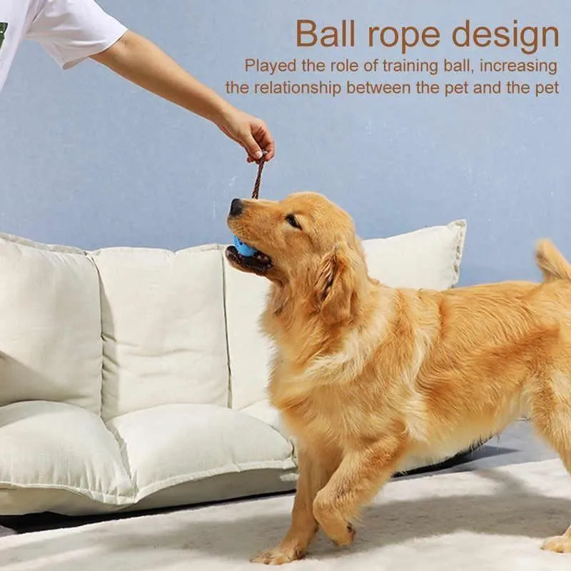 Dog Toothbrush Toy