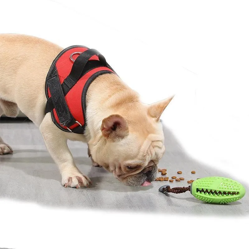 Dog Toothbrush Toy