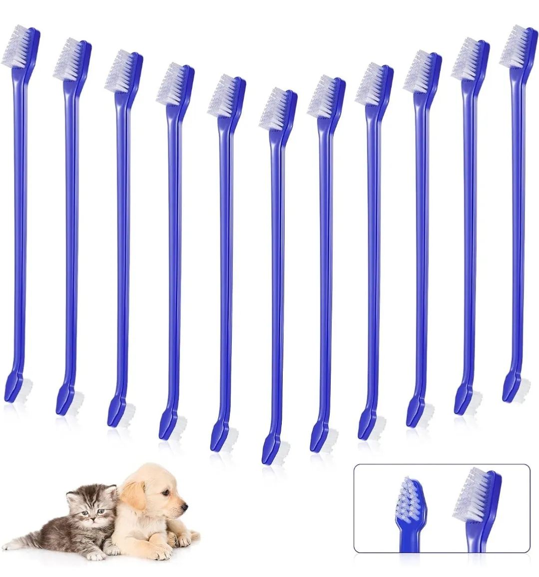 Dual Ended Toothbrush