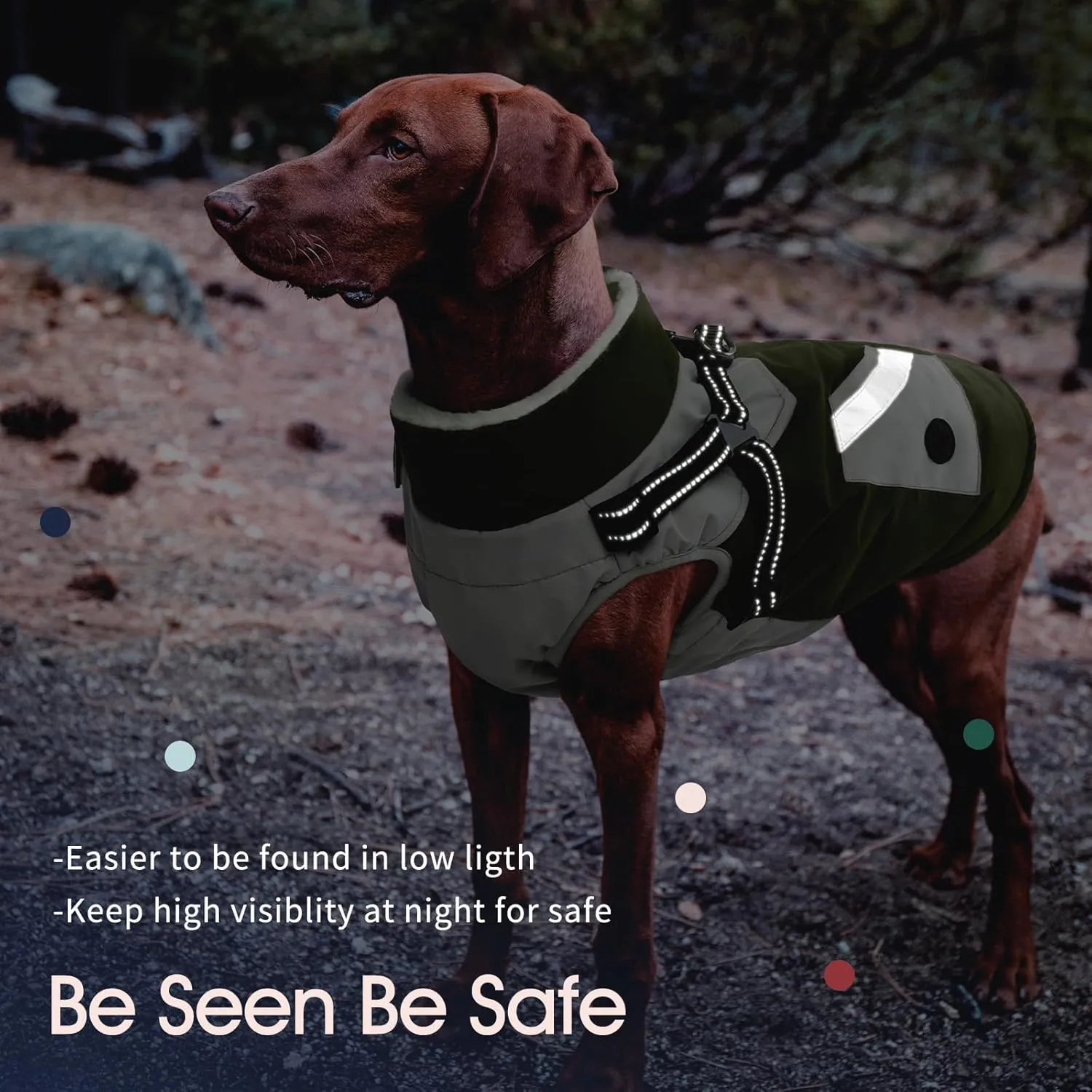 IECOii Dog Coat with Harness Built In - Green, Large - Waterproof Winter Coat, Fleece Lined Snow Jacket for Dogs
