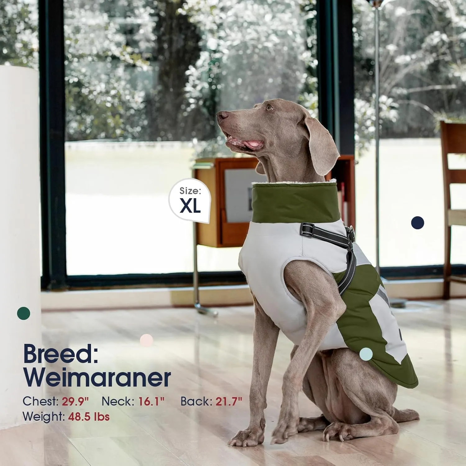 IECOii Dog Coat with Harness Built In - Green, Large - Waterproof Winter Coat, Fleece Lined Snow Jacket for Dogs