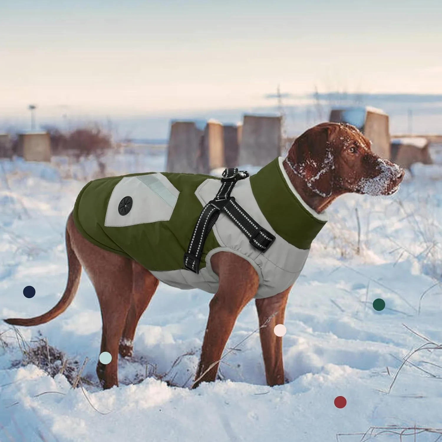 IECOii Dog Coat with Harness Built In - Green, Large - Waterproof Winter Coat, Fleece Lined Snow Jacket for Dogs