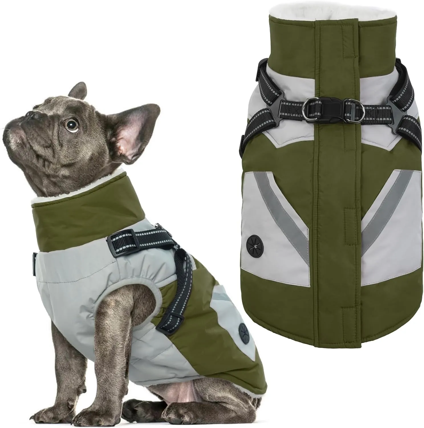 IECOii Dog Coat with Harness Built In - Green, Large - Waterproof Winter Coat, Fleece Lined Snow Jacket for Dogs
