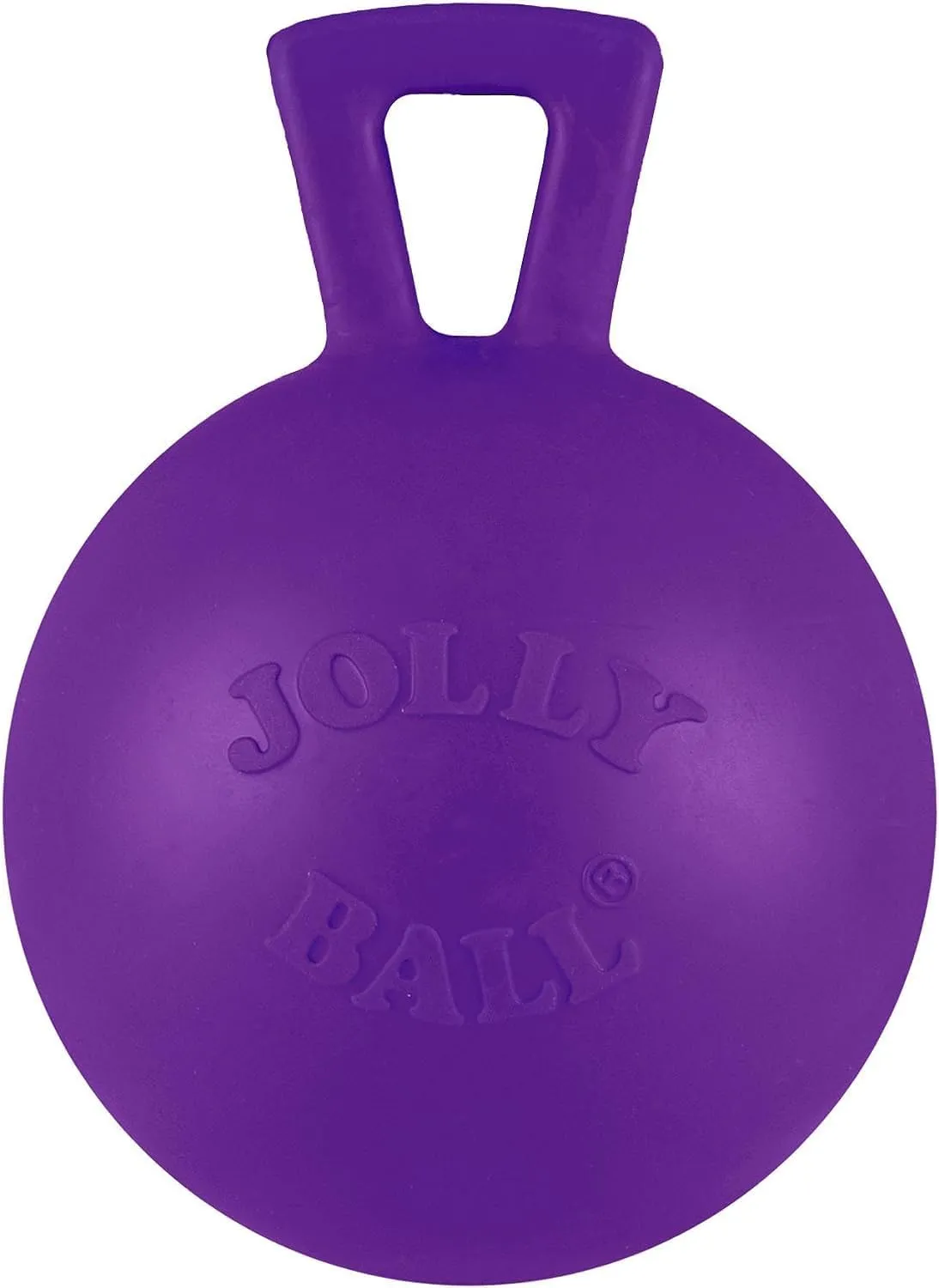 Jolly Pets Tug-n-Toss Heavy Duty Dog Toy Ball with Handle, 4 Inches/Petite, Purple (404 PR)