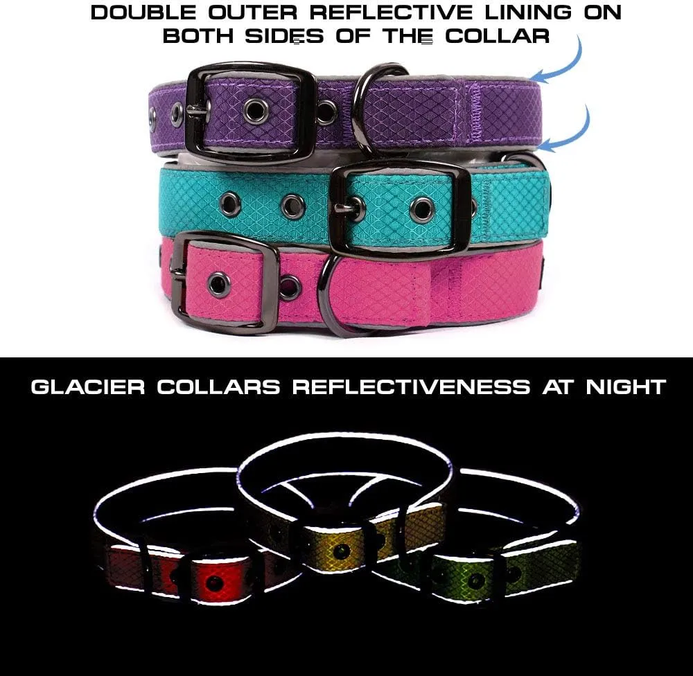 Max and Neo Glacier Reflective Neoprene Metal Buckle Dog Collar - We Donate a Collar to a Dog Rescue for Every Collar Sold (Large, Teal)
