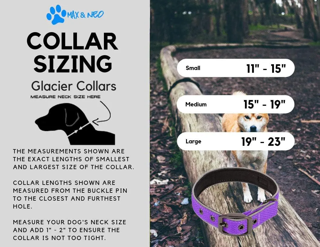 Max and Neo Glacier Reflective Neoprene Metal Buckle Dog Collar - We Donate a Collar to a Dog Rescue for Every Collar Sold (Large, Teal)