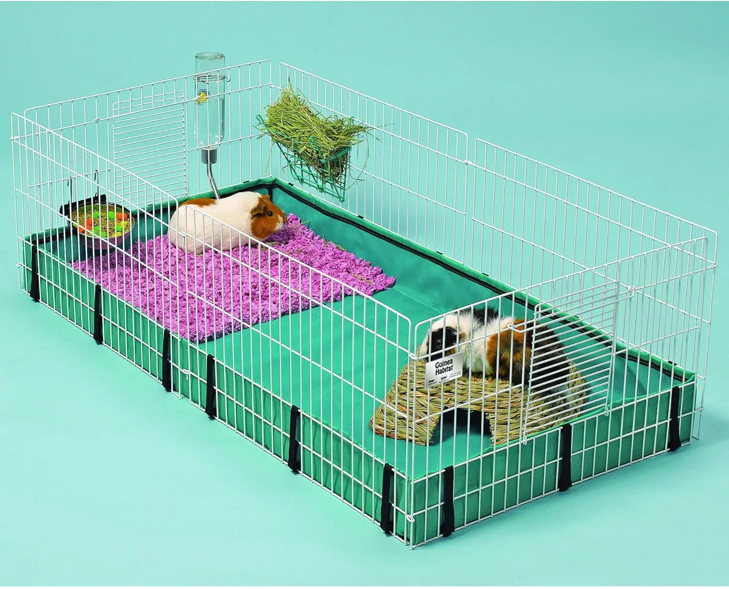 MidWest Homes for Pets Guinea Habitat Guinea Pig Cage by Midwest, 47L x 24W x 14H Inches
