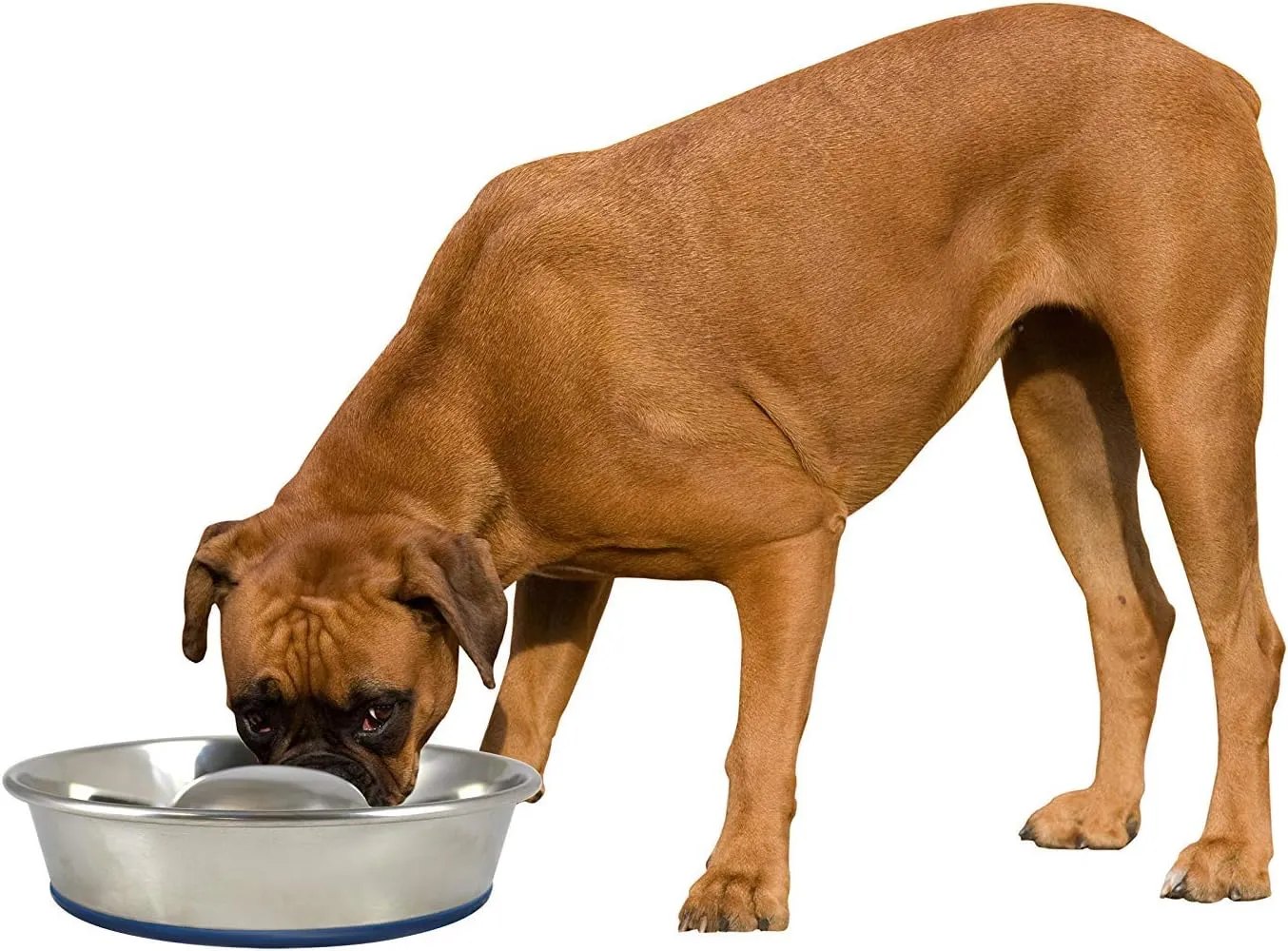 Our Pets Durapet Slow Feed Premium Stainless Steel Dog Bowl, Silver, Large (2040010302)