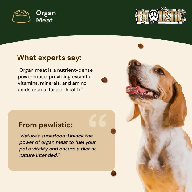 Pawlistic's Beef Jerky Treats | Wholesome & Irresistible Treats - 3oz