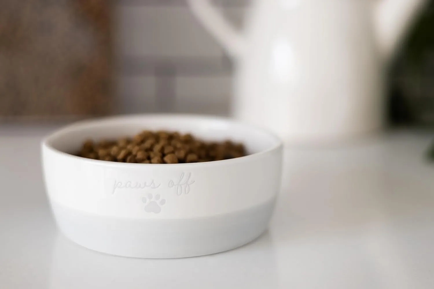 Pearhead Paws Off Ceramic Cat Bowl, Holds 1.3 Cups, Small Food and Water Bowl for Cats, Pet Dish, Microwave and Dishwasher Safe