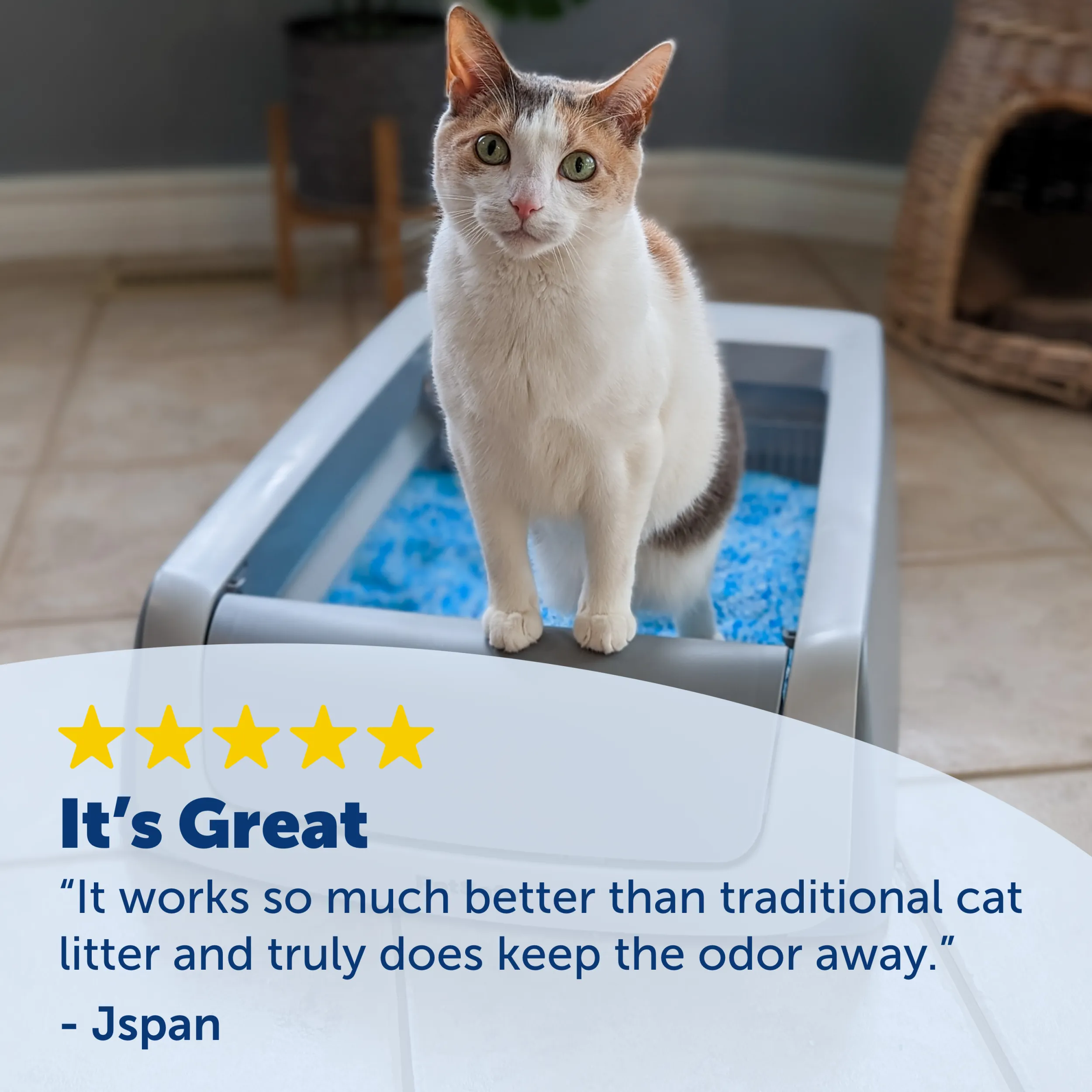 ScoopFree® Premium Crystal Litter, Blue, 2-Pack