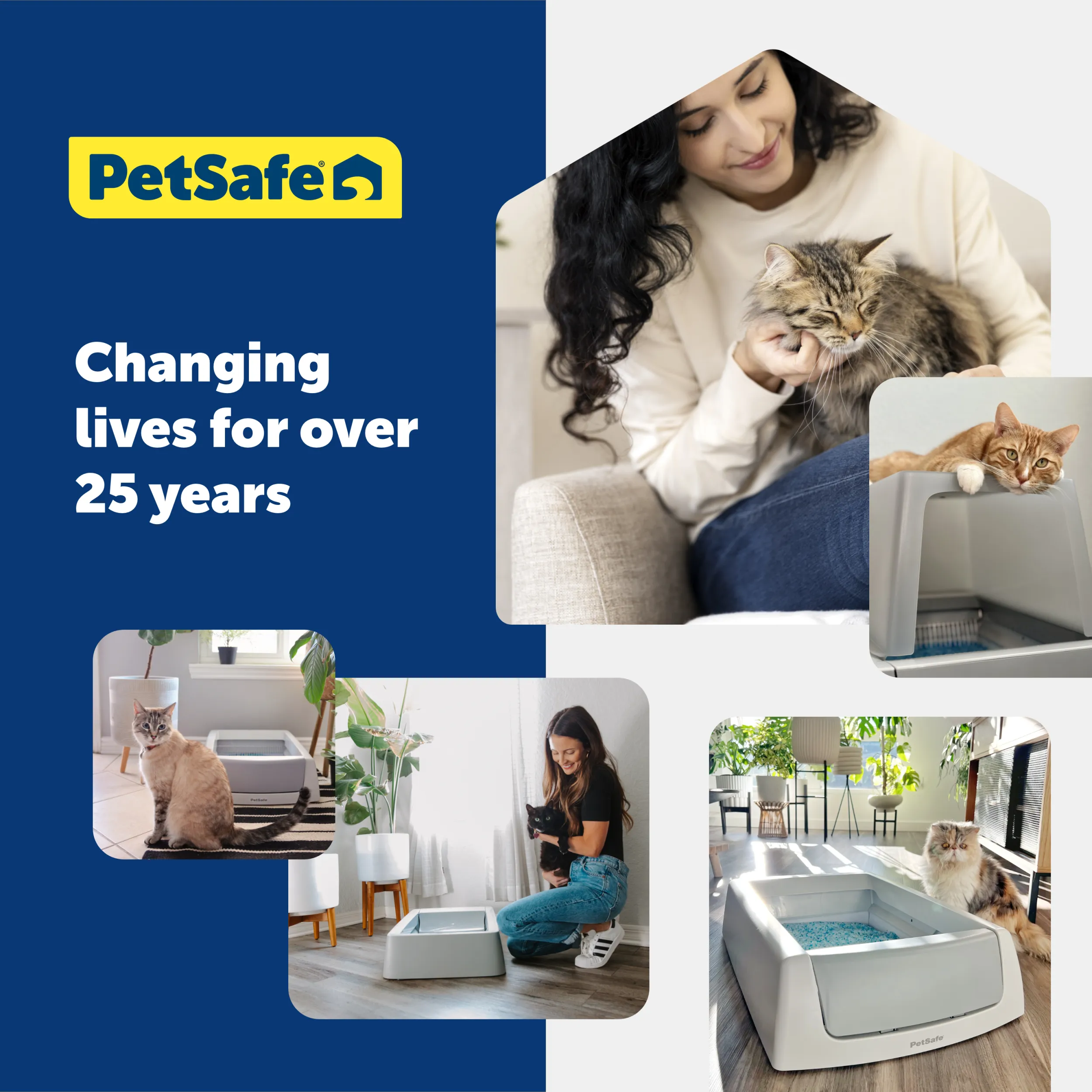 ScoopFree® Sensitive Crystal Litter, 2-Pack