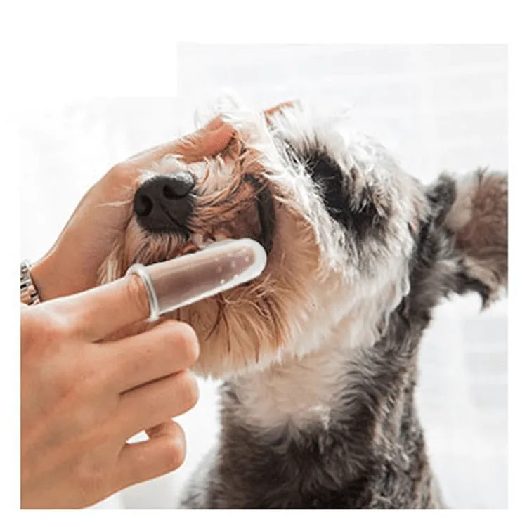 Soft Silicone Finger Toothbrush for Cats & Dogs