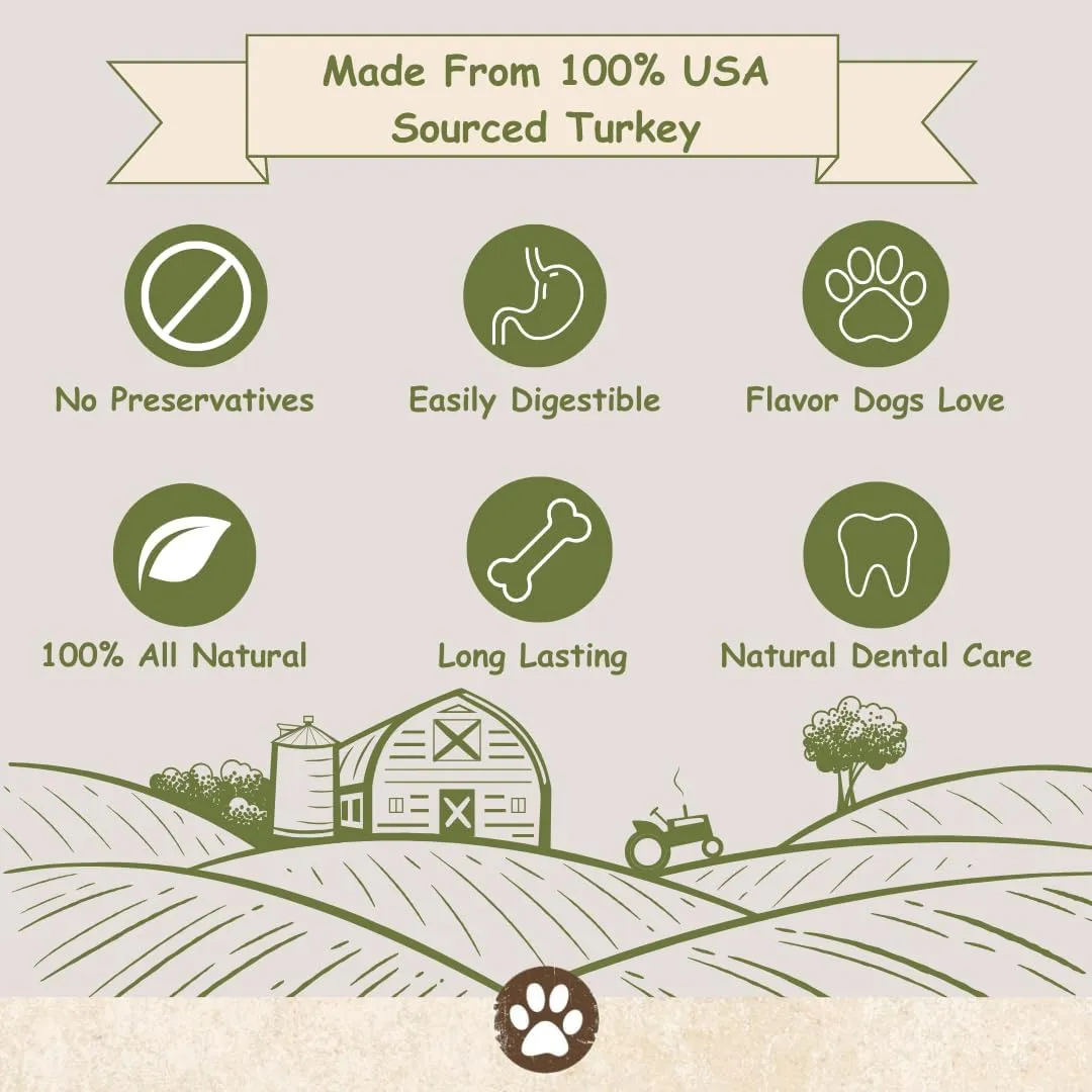 Top Dog Chews Turkey Tendon Dog Treat  All-Natural USA Sourced, Human Grade Dog Chew, Hypoallergenic, Rawhide Alternative, Chewy High Protein Chews for Dogs (16 OZ)
