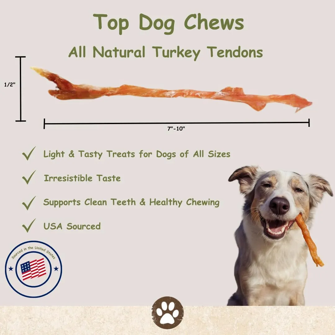 Top Dog Chews Turkey Tendon Dog Treat  All-Natural USA Sourced, Human Grade Dog Chew, Hypoallergenic, Rawhide Alternative, Chewy High Protein Chews for Dogs (16 OZ)