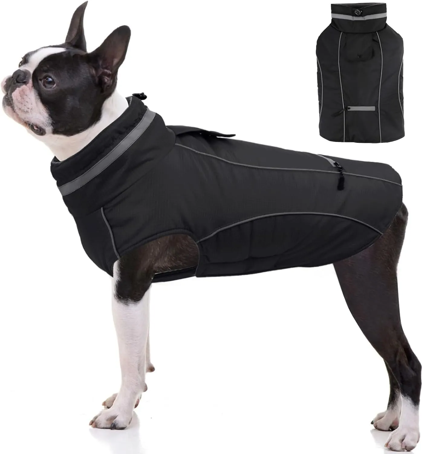 Warm Dog Coat - Reflective Adjustable Windproof Turtleneck Jacket, Padded Winter Cold Weather Clothes, Waterproof Snow Coat (Black, M)