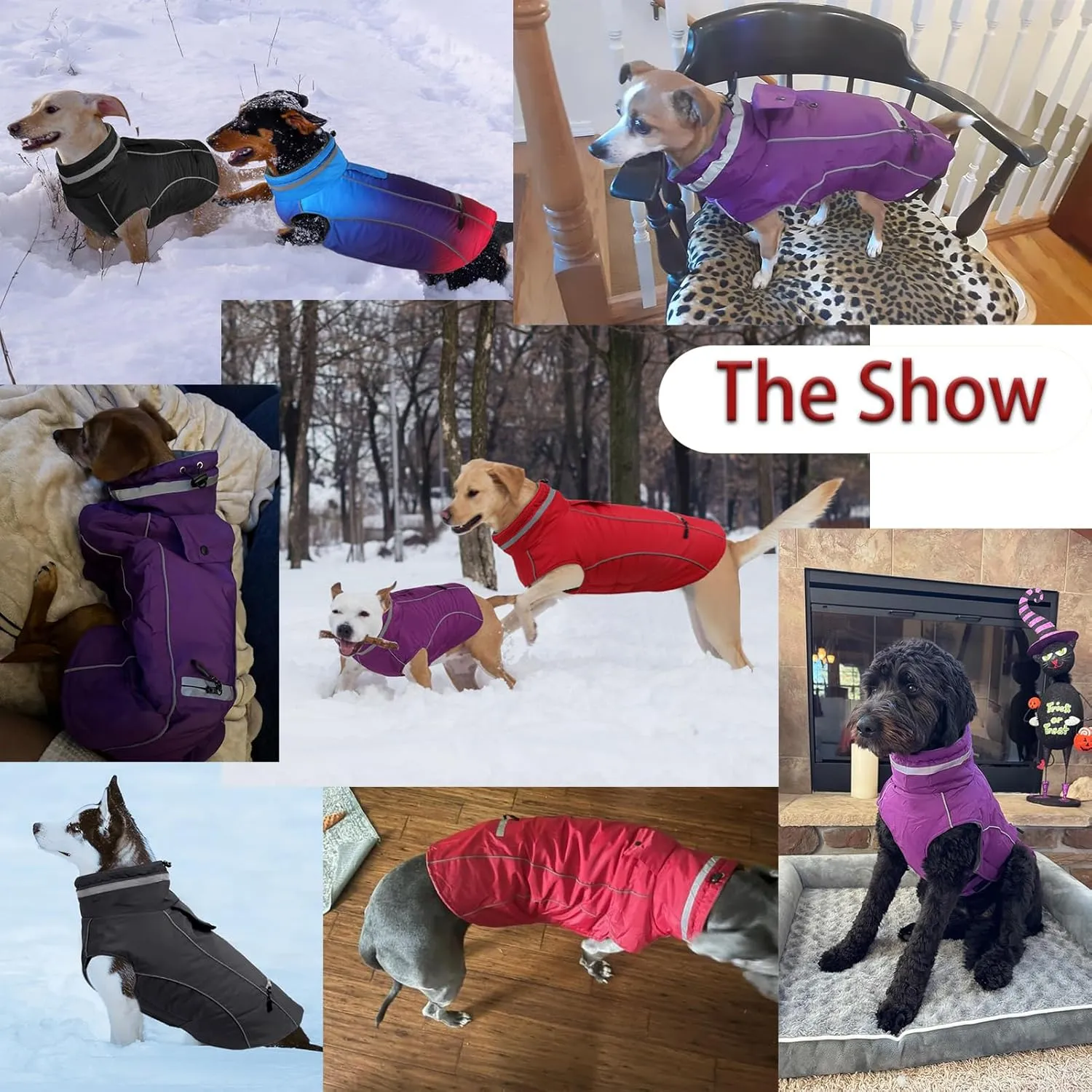 Warm Dog Coat - Reflective Adjustable Windproof Turtleneck Jacket, Padded Winter Cold Weather Clothes, Waterproof Snow Coat (Black, M)