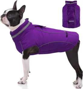 Warm Dog Jacket & Coat - Reflective, Windproof & Waterproof Dog Snow Jacket, Turtleneck Clothes for Winter (M)