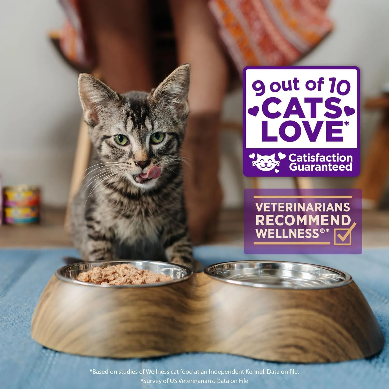 Wellness CORE Signature Selects Flaked Adult Wet Cat Food, Natural, Protein-Rich, Grain Free, 2.8 Ounce, 12 Pack (Skipjack Tuna & Wild Salmon)
